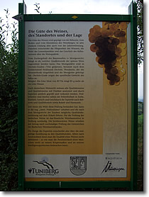 Informationstafel des Weinlehrpfads